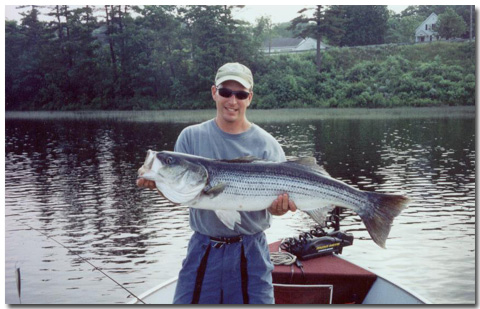 Striper