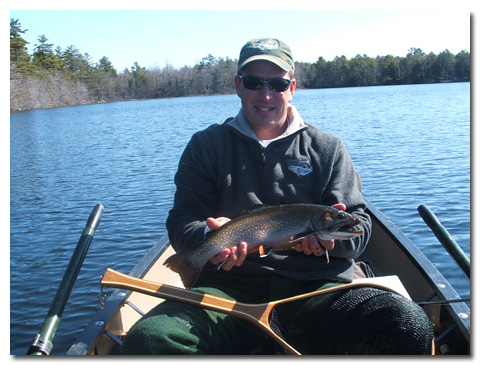Brook Trout