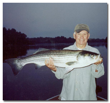 A nice striper taken from the Sheepscot River.