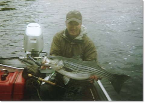 Nice striper on a fly
